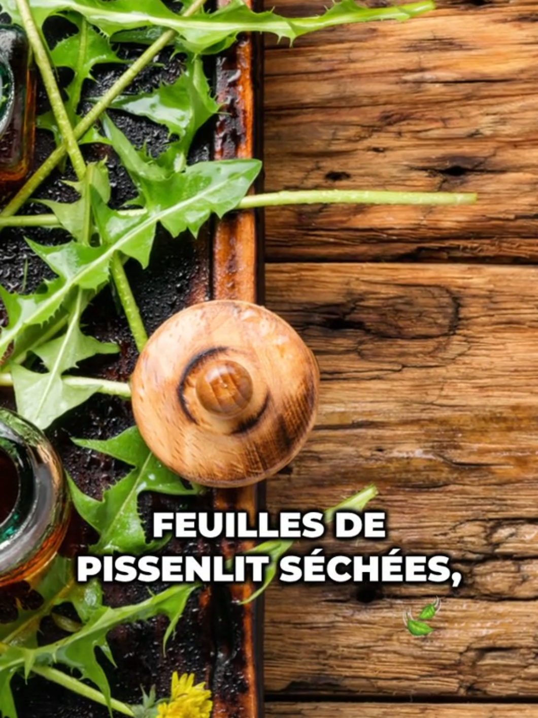 Tu crois que c’est une mauvaise herbe ? Le pissenlit, c’est un trésor caché pour ton foie, ta digestion, ta peau… et même ta ligne ! Une plante gratuite, puissante et 100 % naturelle que tu devrais connaître avant d’acheter des compléments. Swipe, découvre et partage ce secret oublié de nos grands-mères ! #pissenlit #santenaturelle #remedesmaison #detoxnaturelle #plantesmedicinales #foie #digestion #bienetrenaturel #tiktokgreen